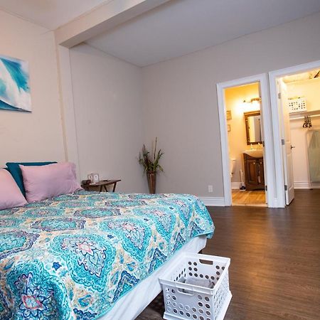 휴스턴 Cozy Studio In The Downtown/Montrose Area 아파트 외부 사진